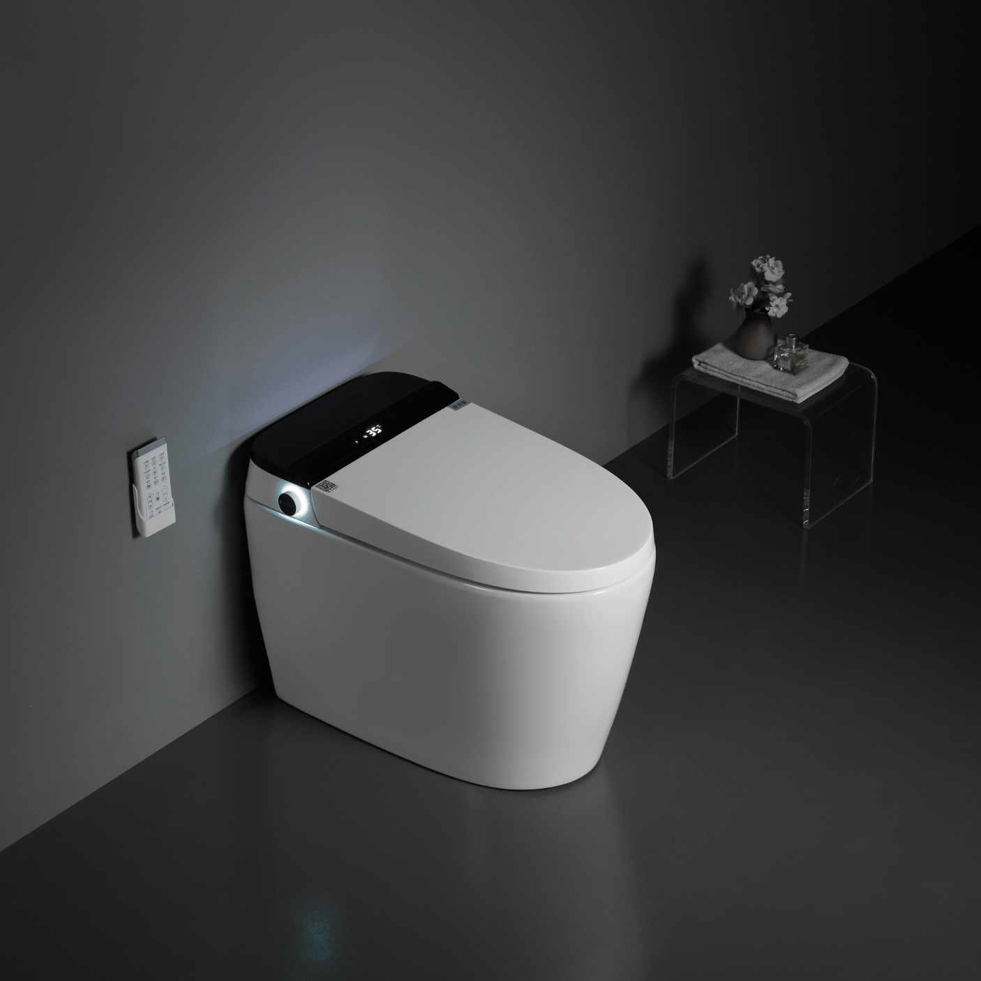 Bidet Toilet E8305S